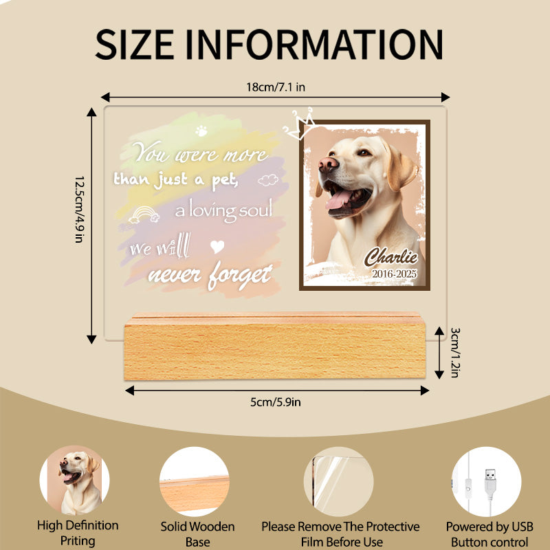 Custom Photo You Were More Than Just A Pet. Personalized Pet Memorial Acrylic Night Light-Sympathy Gift For Pet Owners, Pet Lovers