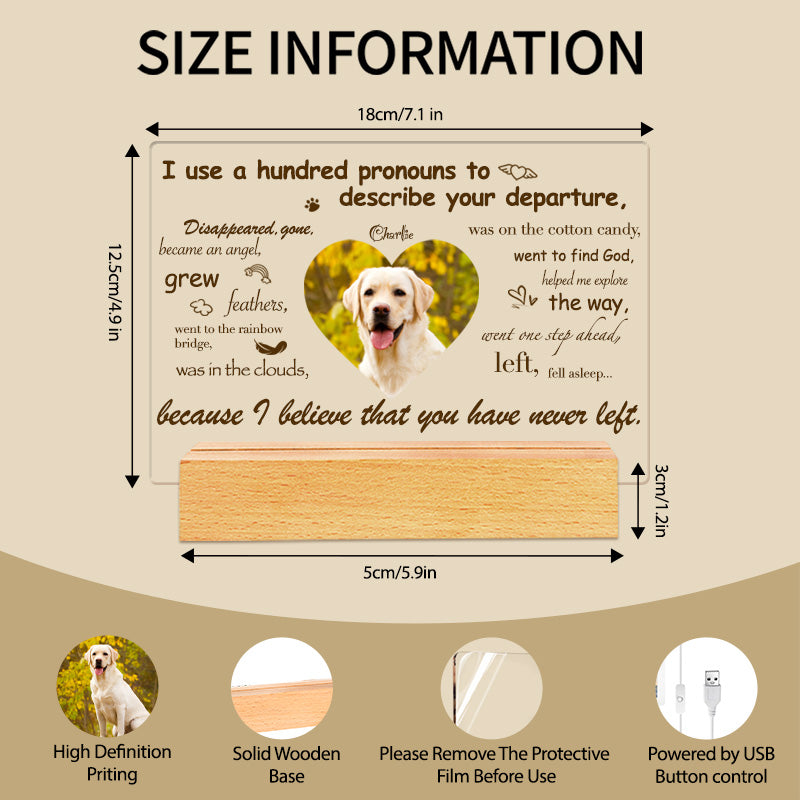 Custom Photo I Use A Hundred Pronouns To Describe Your Departure. Personalized Pet Memorial Acrylic Night Light-Sympathy Gift For Pet Owners, Pet Lovers