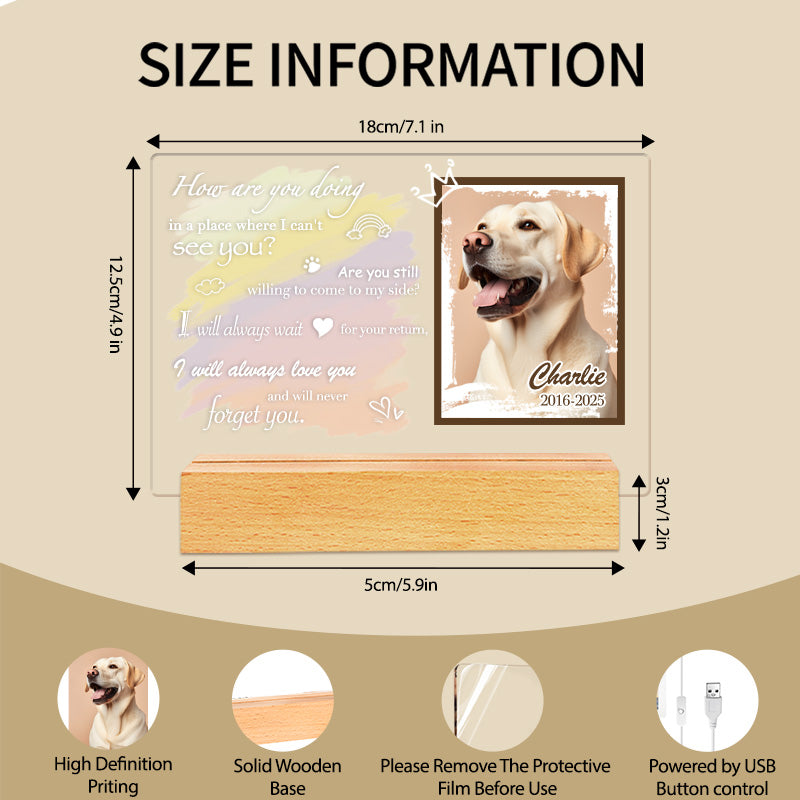 Custom Photo How Are You Doing. Personalized Pet Memorial Acrylic Night Light-Sympathy Gift For Pet Owners, Pet Lovers