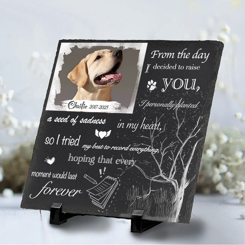 Custom Photo From The Day I Decided To Raise You - Pet Memorial Square-shaped Stone Custom - Sympathy Gift For Pet Owners, Pet Lovers