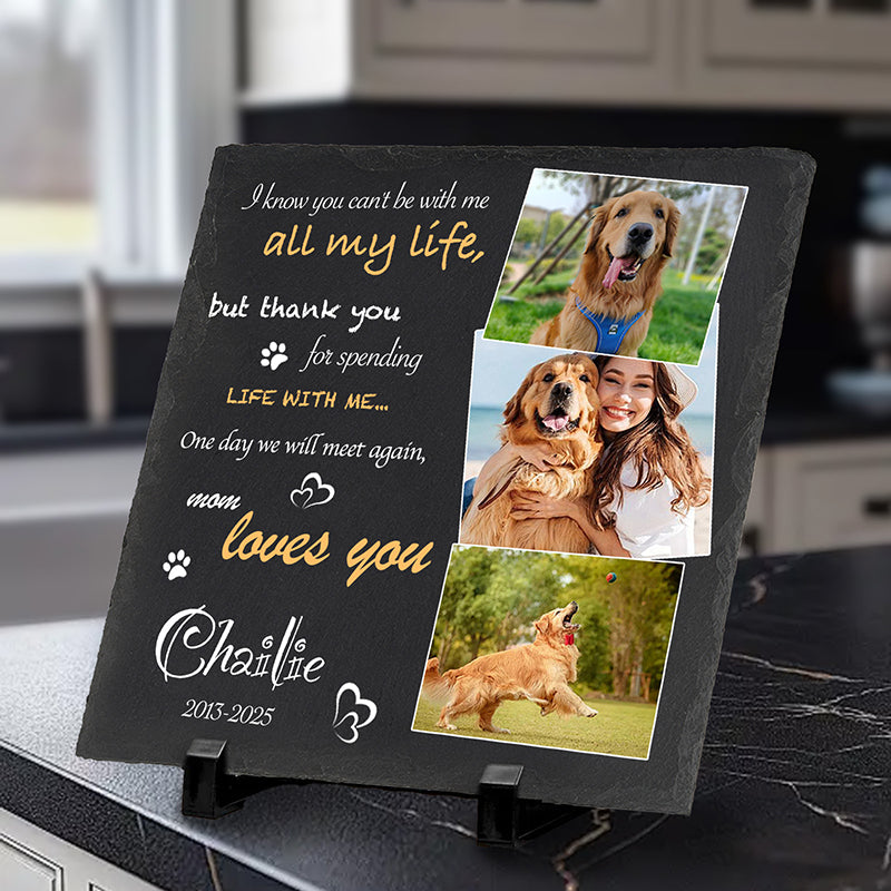 Custom Photo I Know You Can't Be With Me - Pet Memorial Square-shaped Stone Custom - Sympathy Gift For Pet Owners, Pet Lovers