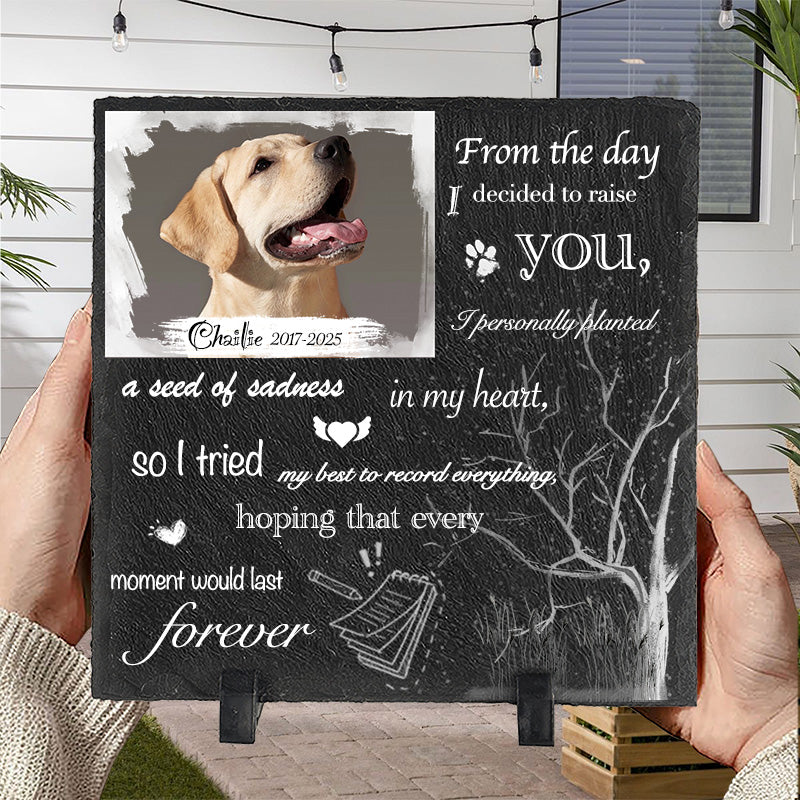 Custom Photo From The Day I Decided To Raise You - Pet Memorial Square-shaped Stone Custom - Sympathy Gift For Pet Owners, Pet Lovers