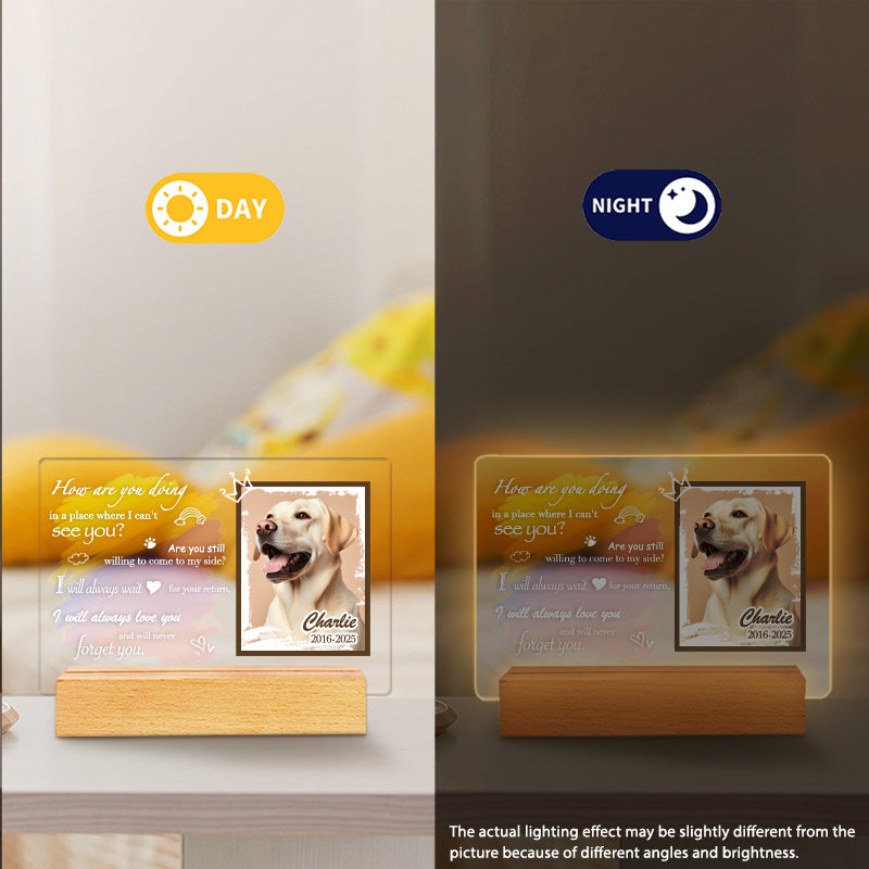 Custom Photo How Are You Doing. Personalized Pet Memorial Acrylic Night Light-Sympathy Gift For Pet Owners, Pet Lovers