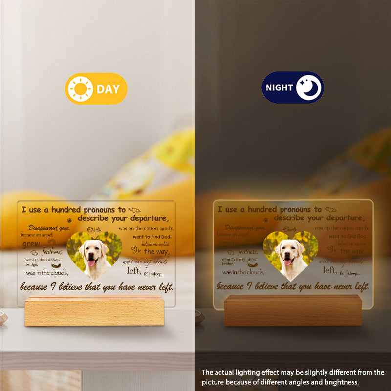 Custom Photo I Use A Hundred Pronouns To Describe Your Departure. Personalized Pet Memorial Acrylic Night Light-Sympathy Gift For Pet Owners, Pet Lovers