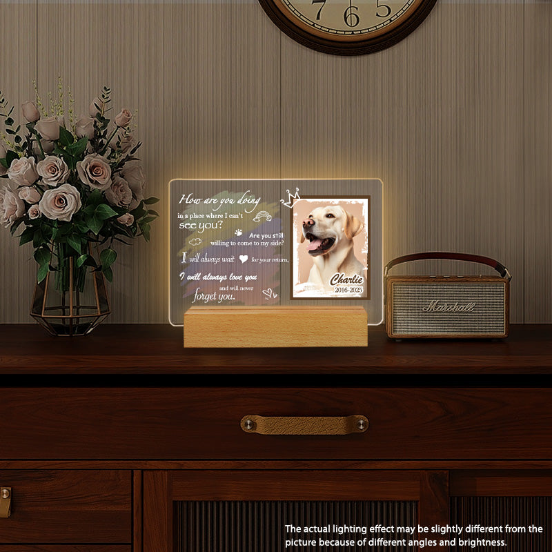 Custom Photo How Are You Doing. Personalized Pet Memorial Acrylic Night Light-Sympathy Gift For Pet Owners, Pet Lovers