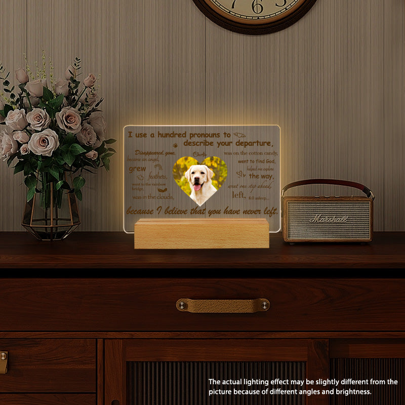 Custom Photo I Use A Hundred Pronouns To Describe Your Departure. Personalized Pet Memorial Acrylic Night Light-Sympathy Gift For Pet Owners, Pet Lovers
