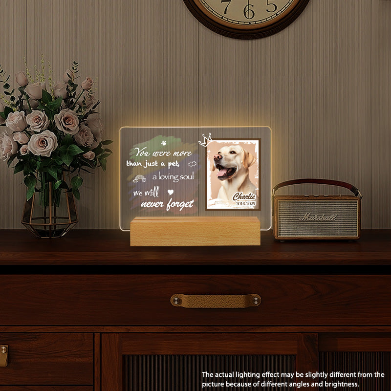 Custom Photo You Were More Than Just A Pet. Personalized Pet Memorial Acrylic Night Light-Sympathy Gift For Pet Owners, Pet Lovers