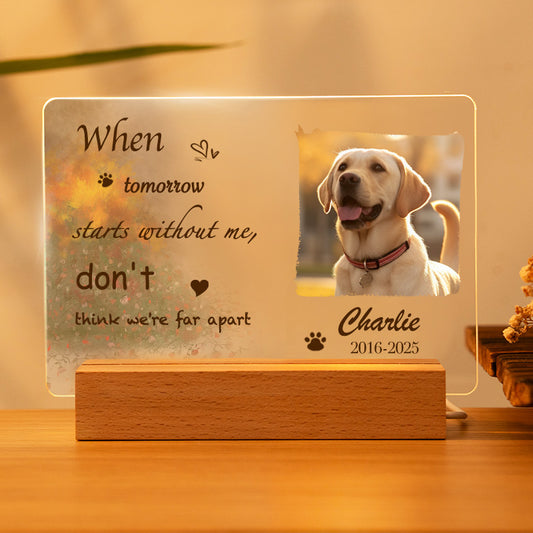 Custom Photo When tomorrow starts without me. Personalized Pet Memorial Acrylic Night Light-Sympathy Gift For Pet Owners, Pet Lovers