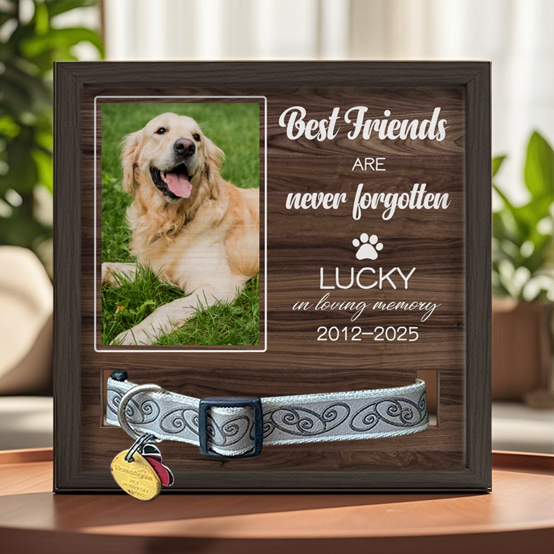Custom Photo Best Friends are never forgotten - Memorial Personalized Custom Pet Loss Sign, Collar Frame - Sympathy Gift For Pet Owners, Pet Lovers