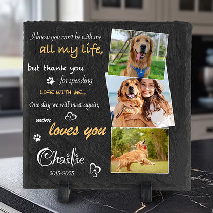 Custom Photo How Was Your Day - Pet Memorial Square-shaped Stone Custom - Sympathy Gift For Pet Owners, Pet Lovers