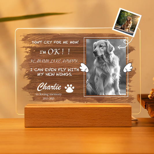Custom Photo Don't Cry For me Mom! Personalized Pet Memorial Acrylic Night Light-Sympathy Gift For Pet Owners, Pet Lovers