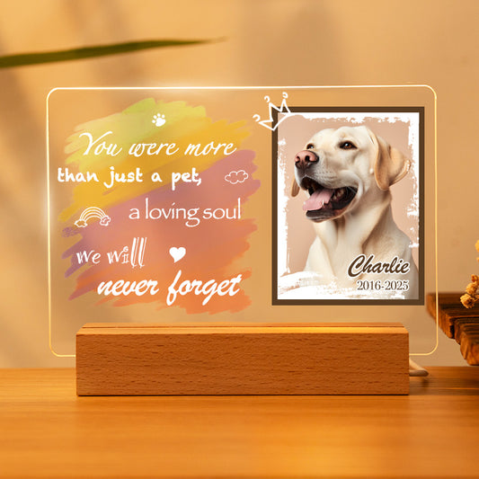 Custom Photo You Were More Than Just A Pet.  Personalized Pet Memorial Acrylic Night Light-Sympathy Gift For Pet Owners, Pet Lovers
