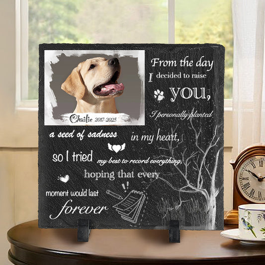 Custom Photo From The Day I Decided To Raise You - Pet Memorial Square-shaped Stone Custom - Sympathy Gift For Pet Owners, Pet Lovers