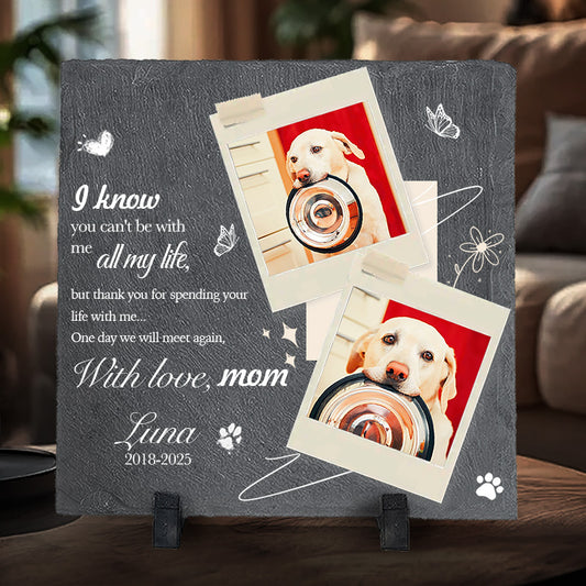 Custom Photo I Know You Can't Be With Me All My Life- Pet Memorial Square-shaped Stone Custom - Sympathy Gift For Pet Owners, Pet Lovers