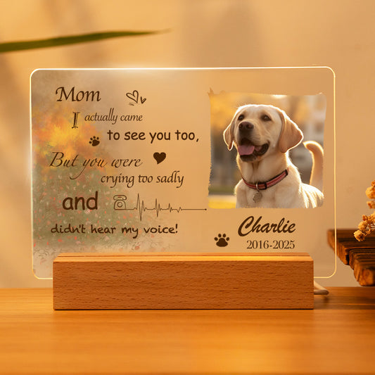 Custom Photo Mom I actually came to see you too. Personalized Pet Memorial Acrylic Night Light-Sympathy Gift For Pet Owners, Pet Lovers
