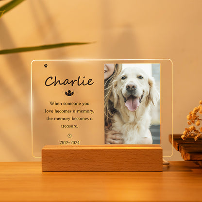 Personalized Pet Memorial Gifts for dogs & cats with Led Engraved Night Light