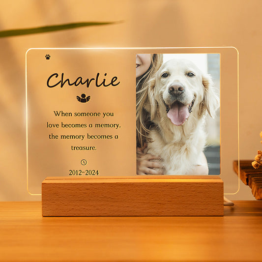 Personalized Pet Memorial Acrylic Night Light