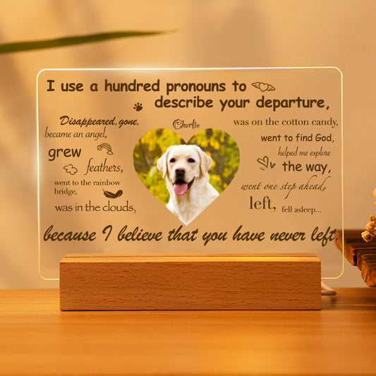 Custom Photo I Use A Hundred Pronouns To Describe Your Departure. Personalized Pet Memorial Acrylic Night Light-Sympathy Gift For Pet Owners, Pet Lovers