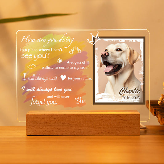 Custom Photo How Are You Doing.  Personalized Pet Memorial Acrylic Night Light-Sympathy Gift For Pet Owners, Pet Lovers
