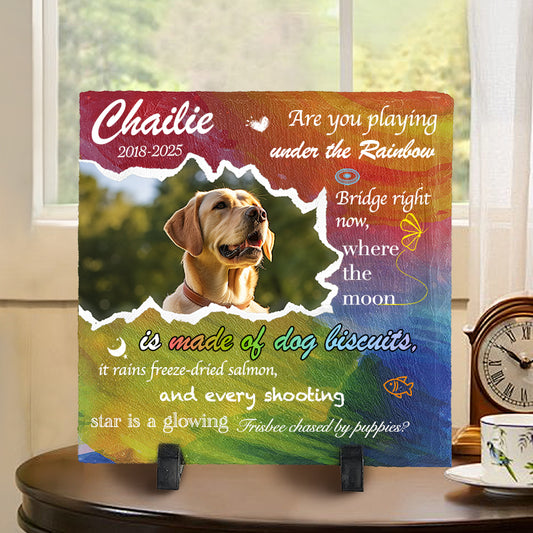 Custom Photo Are You Playing Under The Raindow Bridge - Pet Memorial Square-shaped Stone Custom - Sympathy Gift For Pet Owners, Pet Lovers