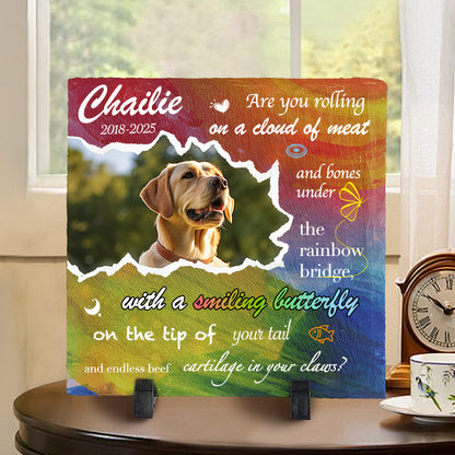Custom Photo Are You Rolling On A Cloud Of Meat And Bones - Pet Memorial Square-shaped Stone Custom - Sympathy Gift For Pet Owners, Pet Lovers