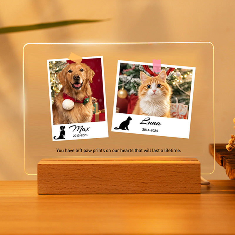 Custom Pet Memorial LED Plaque – Personalized Tribute for Cats & Dogs