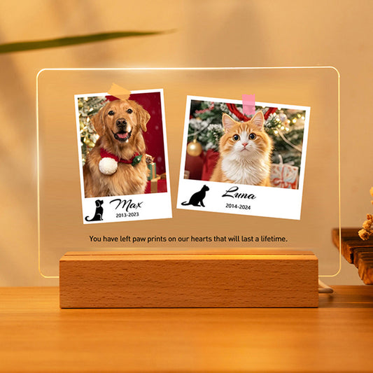 Custom Pet Memorial LED Plaque – Personalized Tribute for Cats & Dogs