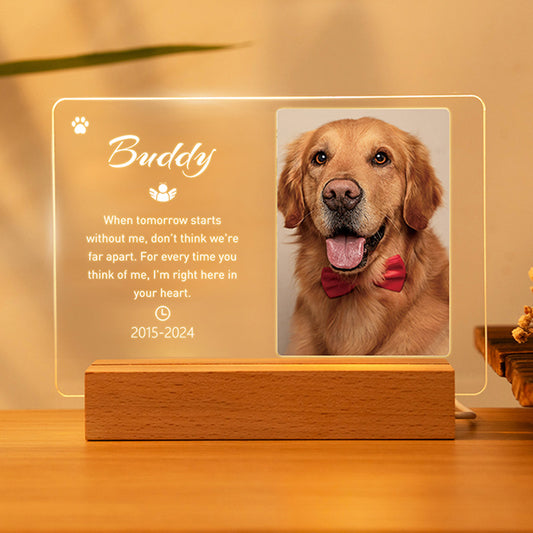 Custom Pet Memorial LED Acrylic Plaque – Personalized Remembrance Gift