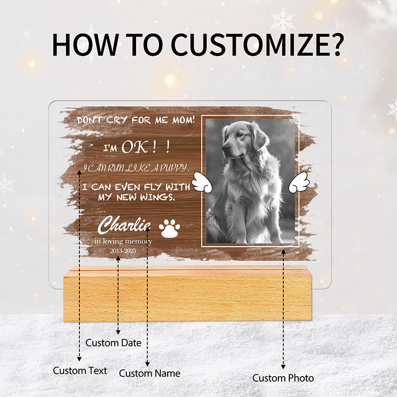 Custom Photo Don't Cry For me Mom! Personalized Pet Memorial Acrylic Night Light-Sympathy Gift For Pet Owners, Pet Lovers