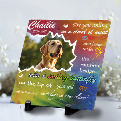 Custom Photo Are You Rolling On A Cloud Of Meat And Bones - Pet Memorial Square-shaped Stone Custom - Sympathy Gift For Pet Owners, Pet Lovers