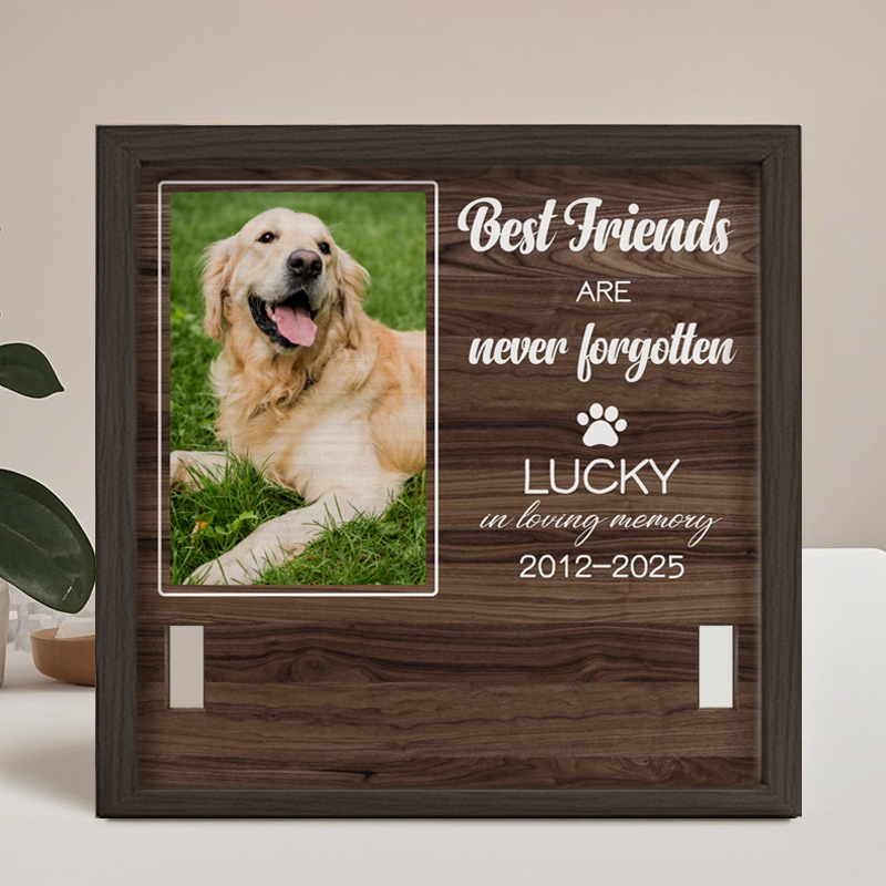 Custom Photo Best Friends are never forgotten - Memorial Personalized Custom Pet Loss Sign, Collar Frame - Sympathy Gift For Pet Owners, Pet Lovers