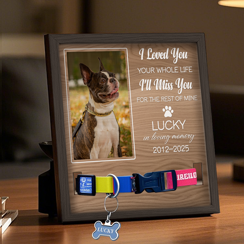 Custom Photo I Loved You Your Whole Life - Memorial Personalized Custom Pet Loss Sign, Collar Frame - Sympathy Gift For Pet Owners, Pet Lovers