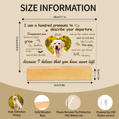 Custom Photo I Use A Hundred Pronouns To Describe Your Departure. Personalized Pet Memorial Acrylic Night Light-Sympathy Gift For Pet Owners, Pet Lovers