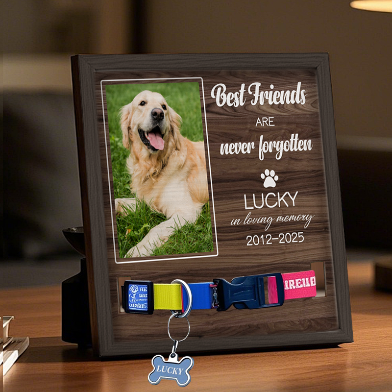 Custom Photo Best Friends are never forgotten - Memorial Personalized Custom Pet Loss Sign, Collar Frame - Sympathy Gift For Pet Owners, Pet Lovers