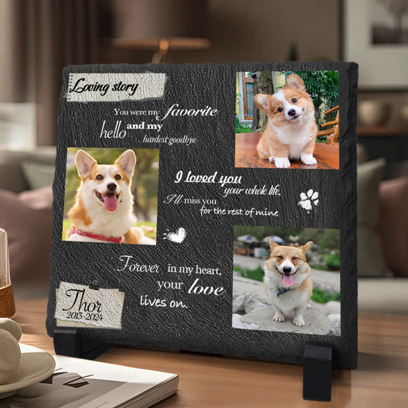 Custom Photo You Were My Favorite Hello- Pet Memorial Square-shaped Stone Custom - Sympathy Gift For Pet Owners, Pet Lovers