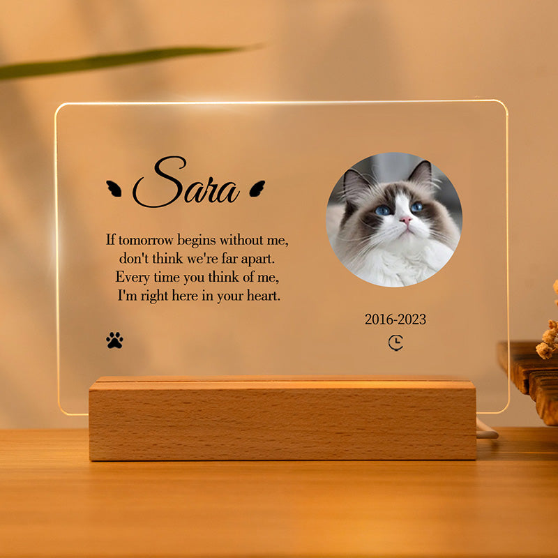 Personalized Cat Memorial Acrylic Night Light