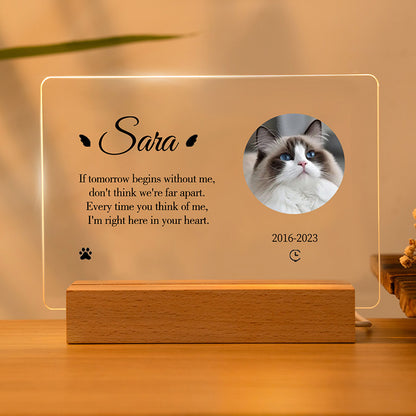 Personalized Cat Memorial Acrylic Night Light