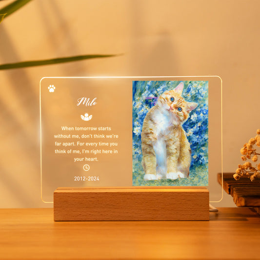 Personalized Cat Memorial Gifts with Led Engraved Night Light