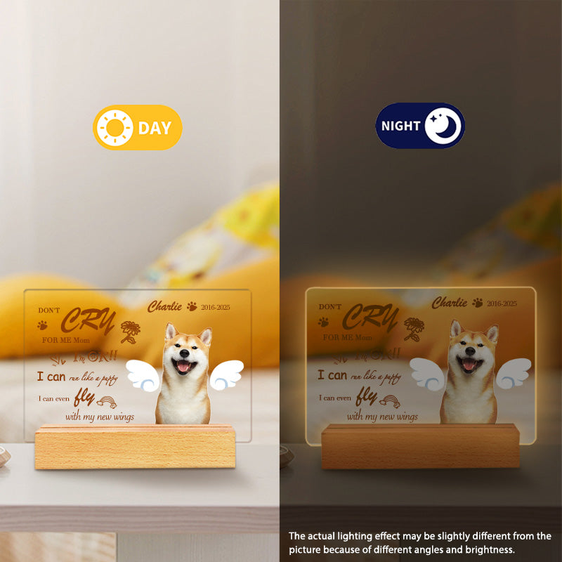 Custom Photo Don't Cry For Me Mom.  Personalized Pet Memorial Acrylic Night Light-Sympathy Gift For Pet Owners, Pet Lovers