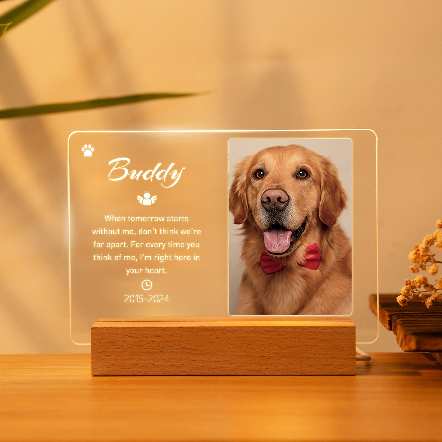 Personalized Dog Memorial Gifts with Led Engraved Night Light