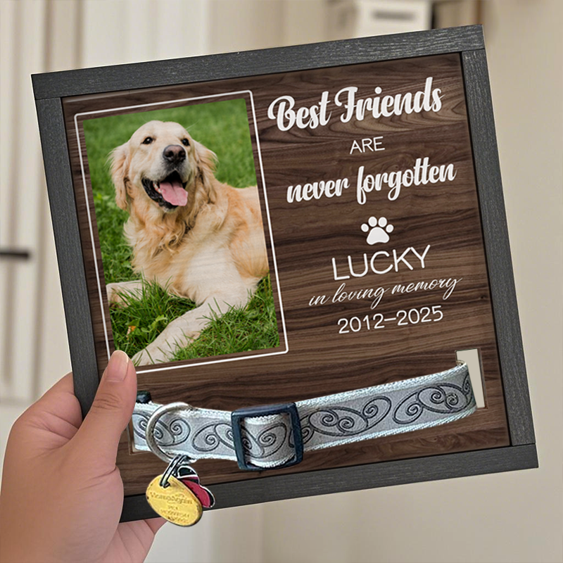 Custom Photo Best Friends are never forgotten - Memorial Personalized Custom Pet Loss Sign, Collar Frame - Sympathy Gift For Pet Owners, Pet Lovers