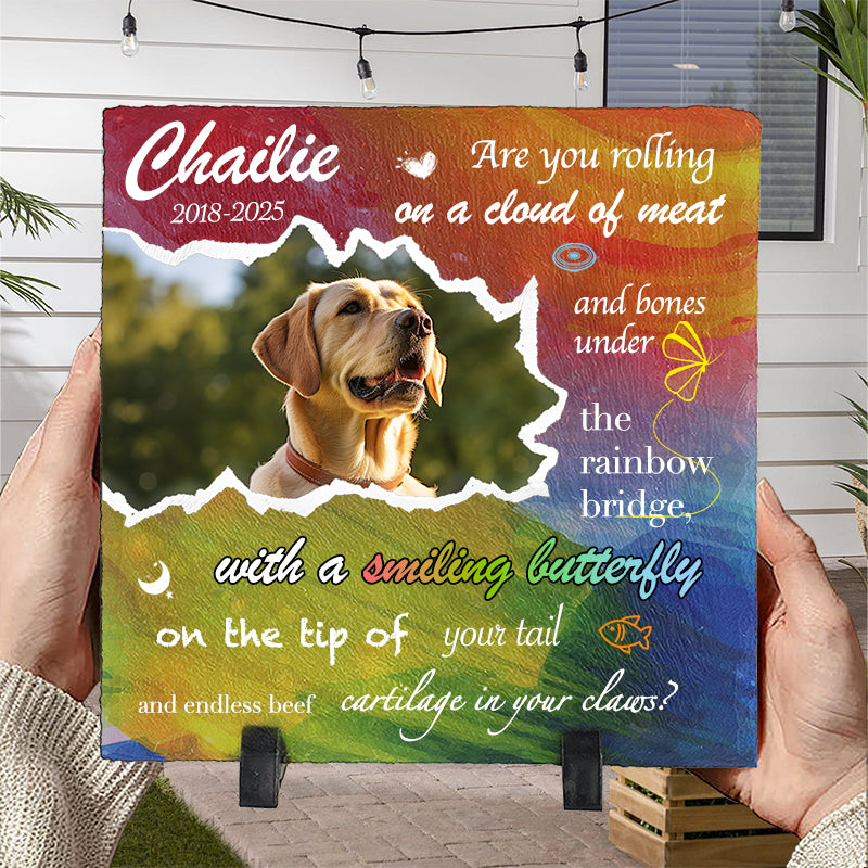Custom Photo Are You Rolling On A Cloud Of Meat And Bones - Pet Memorial Square-shaped Stone Custom - Sympathy Gift For Pet Owners, Pet Lovers