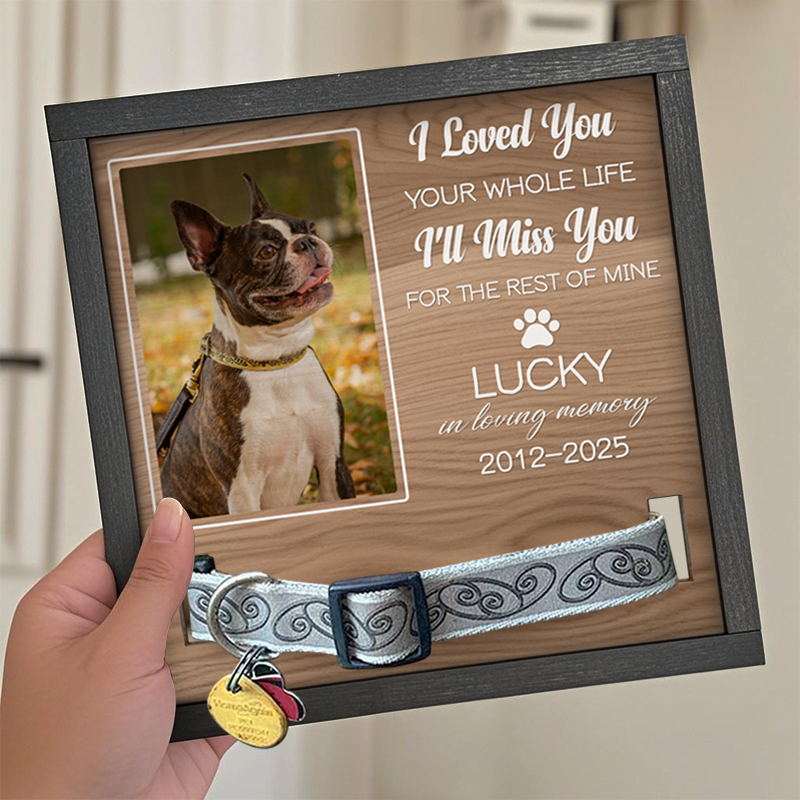 Custom Photo I Loved You Your Whole Life - Memorial Personalized Custom Pet Loss Sign, Collar Frame - Sympathy Gift For Pet Owners, Pet Lovers