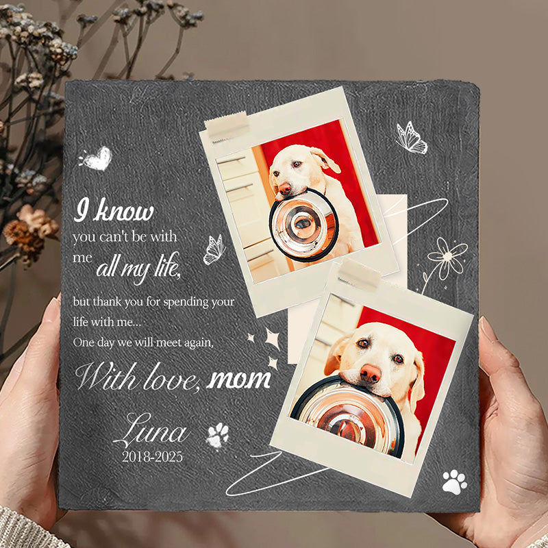 Custom Photo I Know You Can't Be With Me All My Life- Pet Memorial Square-shaped Stone Custom - Sympathy Gift For Pet Owners, Pet Lovers
