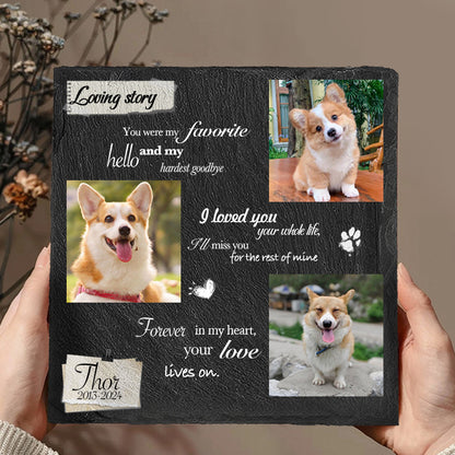 Custom Photo You Were My Favorite Hello- Pet Memorial Square-shaped Stone Custom - Sympathy Gift For Pet Owners, Pet Lovers
