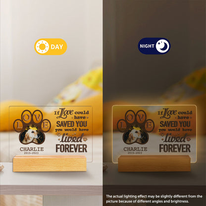 Custom Photo If Love Could Have Saved You. Personalized Pet Memorial Acrylic Night Light-Sympathy Gift For Pet Owners, Pet Lovers