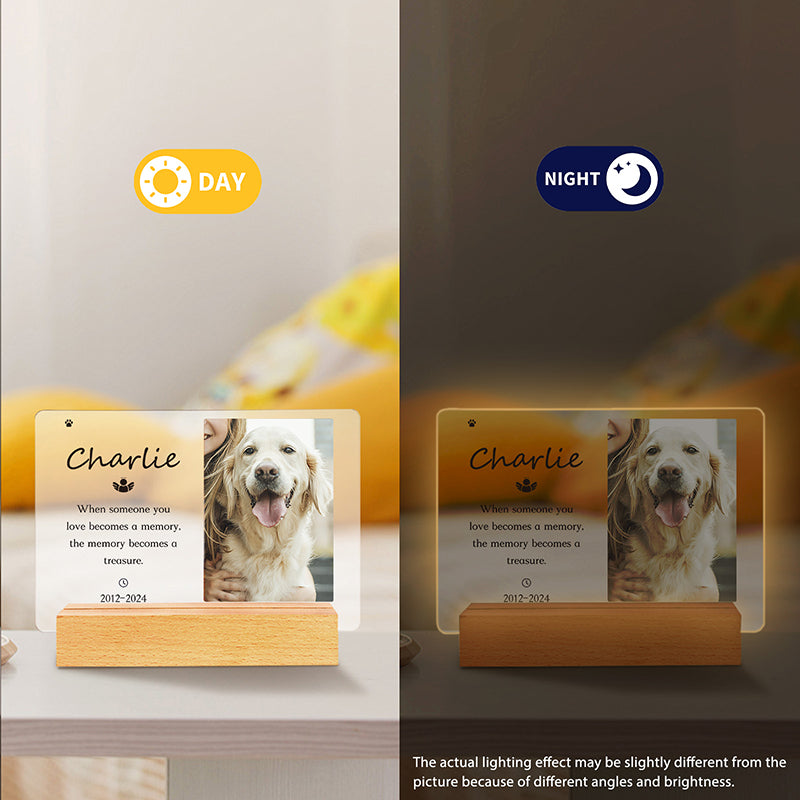 Personalized Pet Memorial Acrylic Night Light