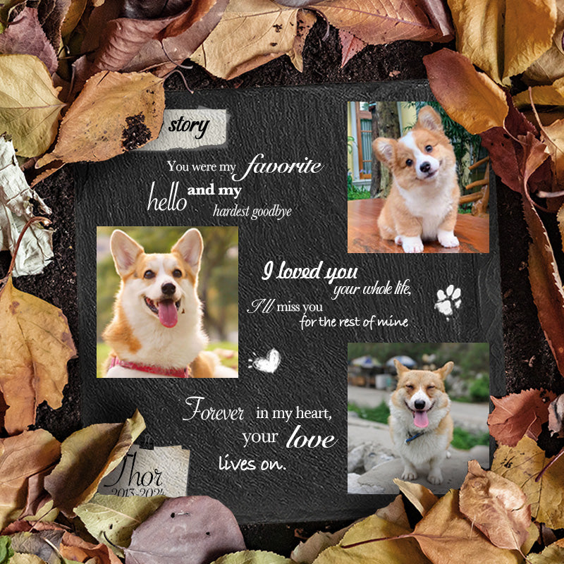 Custom Photo You Were My Favorite Hello- Pet Memorial Square-shaped Stone Custom - Sympathy Gift For Pet Owners, Pet Lovers