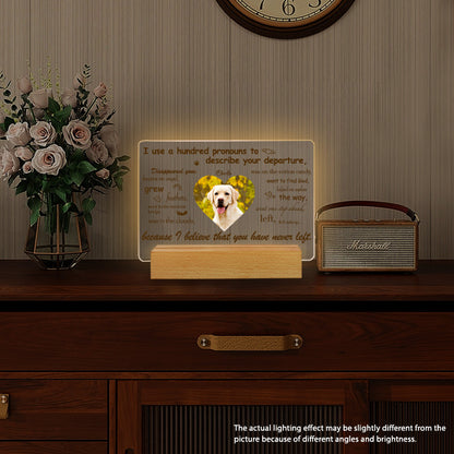 Custom Photo I Use A Hundred Pronouns To Describe Your Departure. Personalized Pet Memorial Acrylic Night Light-Sympathy Gift For Pet Owners, Pet Lovers