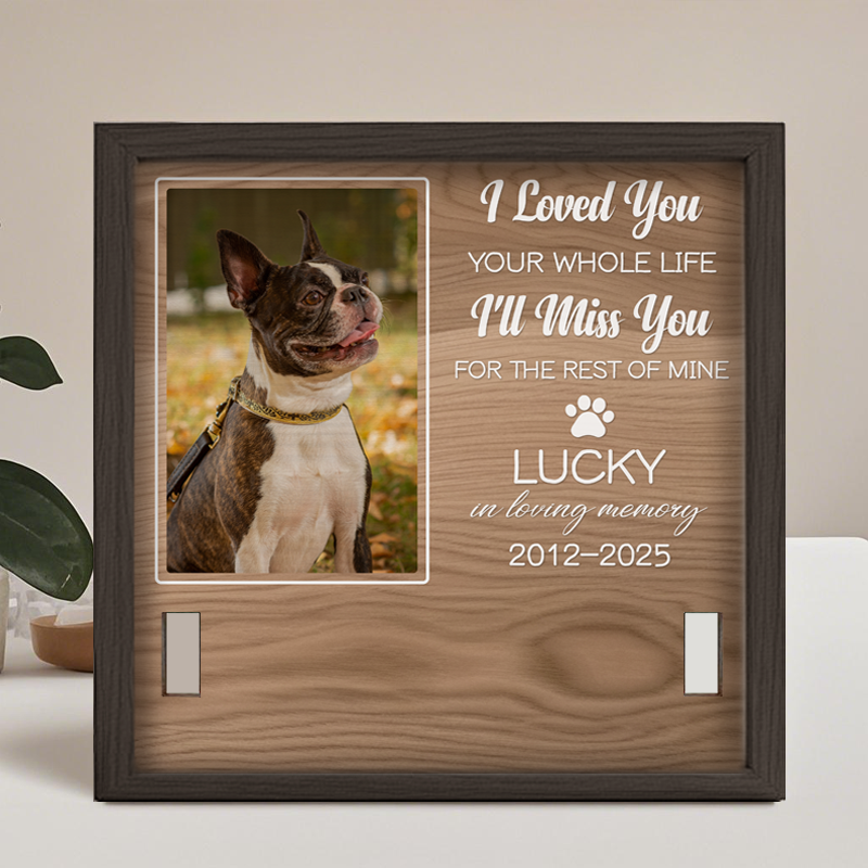 Custom Photo I Loved You Your Whole Life - Memorial Personalized Custom Pet Loss Sign, Collar Frame - Sympathy Gift For Pet Owners, Pet Lovers